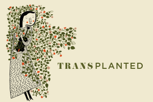 Transplanted